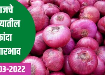 आजचे राज्यातील सहा वाजेपर्यंतचे कांदा बाजारभाव 