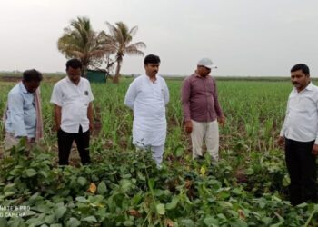 वेळ पडली तर रस्त्यावर उतरु- शरद लाड यांचा इशारा