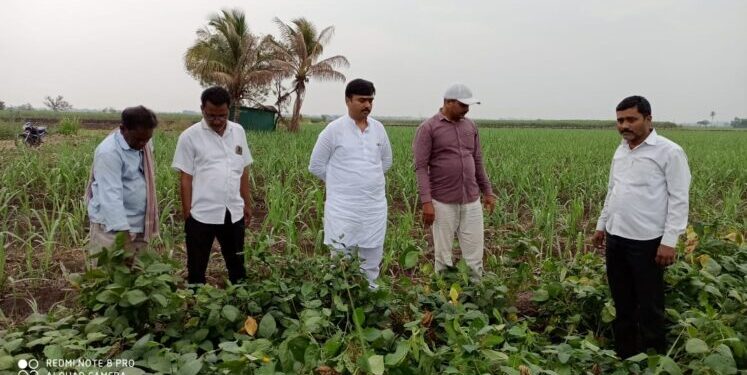 वेळ पडली तर रस्त्यावर उतरु- शरद लाड यांचा इशारा