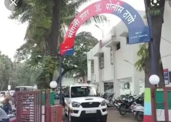 जावयाने सासूला पट्टयाने मारले…