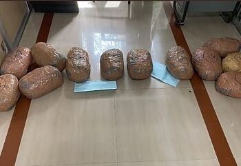 मिरज : वड्डीतील ‘त्या’ फार्महाऊसमधून २२.८५ किलो गांजा जप्त ,एकाला घेतले ताब्यात..