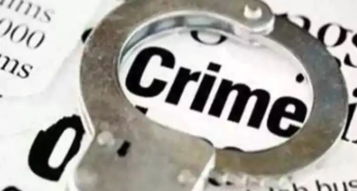 मायणी | बोगस दस्तऐवज प्रकरणी दोघांना पाच दिवस पोलिस कोठडी…