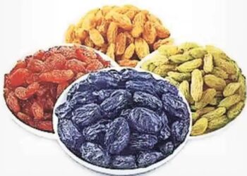 बेदाणा उत्पादन १ लाख ६० हजार टनांवर…