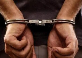 बापाच्या खूनप्रकरणी मुलाला पोलिस कोठडी