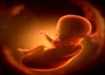 म्हैसाळ स्त्रीभ्रूण हत्याकांड,दोषींना शिक्षा होण्यासाठी सरकार पावले उचलणार..