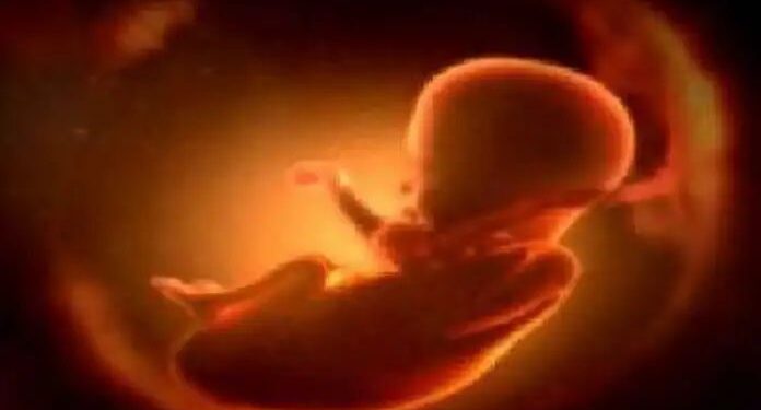 म्हैसाळ स्त्रीभ्रूण हत्याकांड,दोषींना शिक्षा होण्यासाठी सरकार पावले उचलणार..