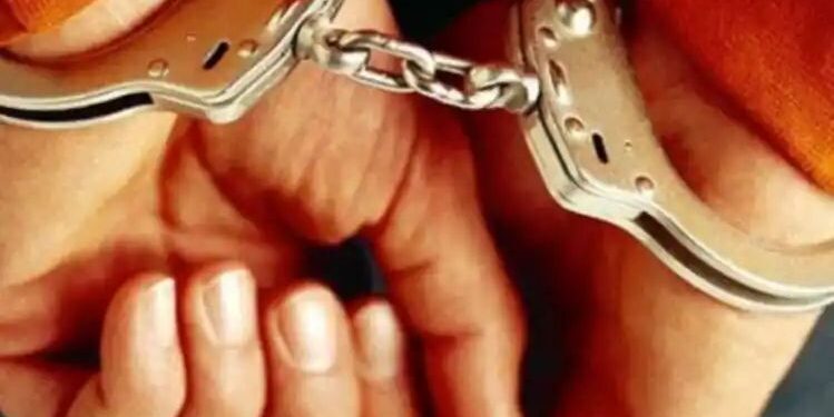 कराडमध्ये ‘एलसीबी’ ची मोठी कारवाई ,दोन अटकेत..