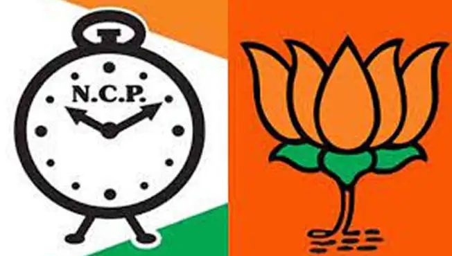 राष्ट्रवादीला मतदान करू शकणारे भाजपचे ‘ते’ दोन आमदार कोण?