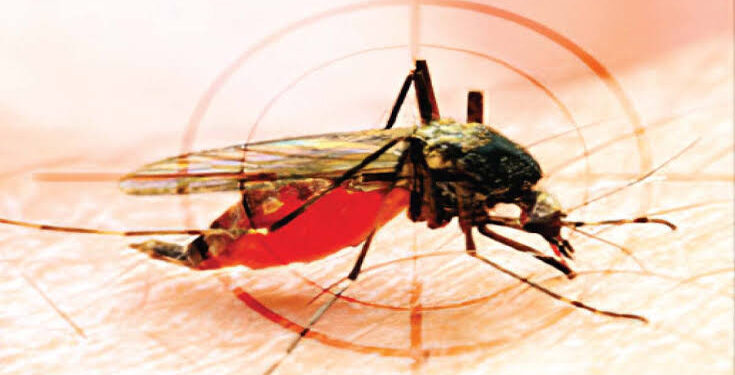 विश्रामबाग परिसरात डेंगूची साथ