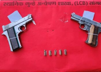 एलसीबीचे डेरिंगबाज “शिंदे”..! गुन्हेगारांचे वांदे अन् कर्मचाऱ्यांचे खांद्याला खांदे.?