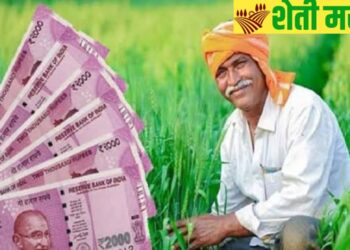 शेतकऱ्यांना पिक कर्जासाठी सिबिल स्कोर खरच गरजेचा आहे का? पीक कर्जासाठी सिबिल स्कोर रद्द होईल का?