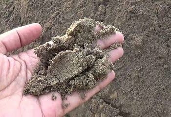 कडेगाव तालुक्यातून अवैध वाळू तस्करी पुन्हा जोमात…