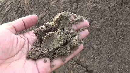 कडेगाव तालुक्यातून अवैध वाळू तस्करी पुन्हा जोमात…