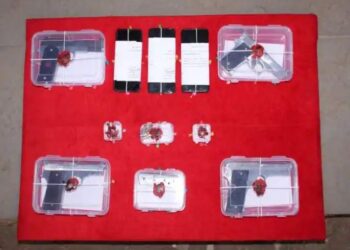 स्थानिक गुन्हे शाखेची मोठी कारवाई : ४ पिस्टल – ४ काडतुसे जप्त ; चौघांच्या आवळल्या मुसक्या…