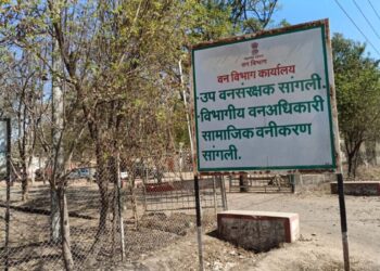 वन विभागातील ५८ लाखांच्या बोगस कामांचा डाव उधळला.