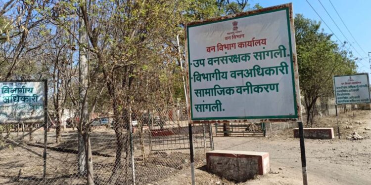 वन विभागातील ५८ लाखांच्या बोगस कामांचा डाव उधळला.