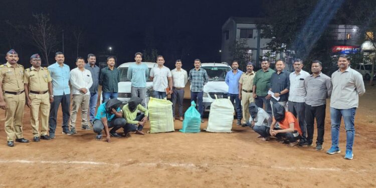सांगलीत गांजा तस्करी प्रकरणी चौघांची टोळी जेरबंद ; २० लाखांचा गांजा जप्त करीत एलसीबीची मोठी कारवाई.