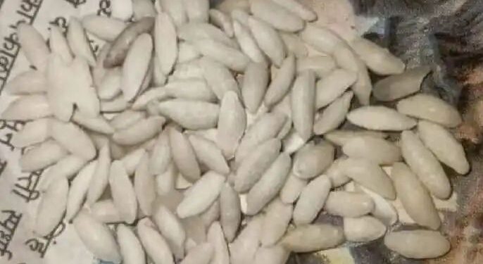 रेशनच्या तांदळात आढळला चक्क प्लास्टिक तांदूळ ; इचलकरंजीत उघडकीस आला प्रकार..!