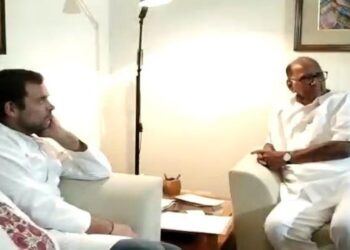 ब्रेकिंग! शरद पवार आणि राहुल गांधी यांच्या दिल्लीमधील बैठकीत घेण्यात आला सर्वात मोठा निर्णय