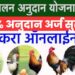 कुक्कुटपालन करण्यासाठी सरकार देणार 75% अनुदान.. पहा कसा करायचा अर्ज