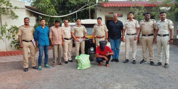 मिरजेत ६ किलो गांजा जप्त; महात्मा गांधी पोलीस ठाण्याची कारवाई