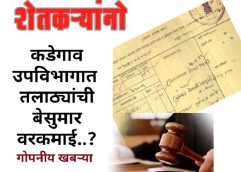 कडेगाव उपविभागात तलाठयांचा दुबार नोंदीचा धडाका