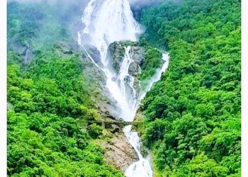 दूधसागर धबधब्यावर जाण्यास पर्यटकांना बंदी