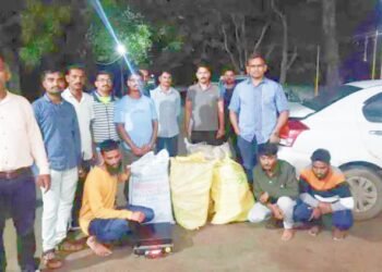 उमदी पोलीस अँक्शन मोडवर ; आंध्रातून तस्करी केला जाणारा १४ लाखाचा गांजा जप्त, तिघांना अटक