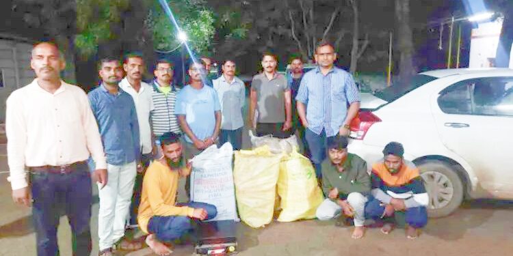 उमदी पोलीस अँक्शन मोडवर ; आंध्रातून तस्करी केला जाणारा १४ लाखाचा गांजा जप्त, तिघांना अटक