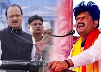 अजित पवार यांचे भाजपमधील कट्टर विरोधक गोपीचंद पडळकर म्हणाले…