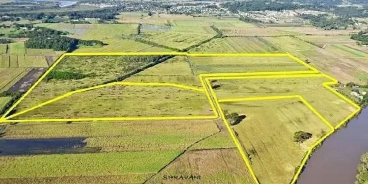 ५ गुंठ्यांची करता येणार खरेदी-विक्री! ‘इथे’ करावा लागणार लेखी अर्ज; रस्ता, विहीर, घरकुलासाठी स्वतंत्र नियमावली