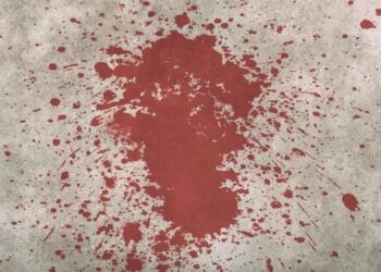 सांगलीतील कुख्यात गुंड सच्या टारझनचा डोक्यात कोयत्याने वार करून झाला खून; हल्ल्यानंतर तरुण थेट पोलिस ठाण्यात हजर