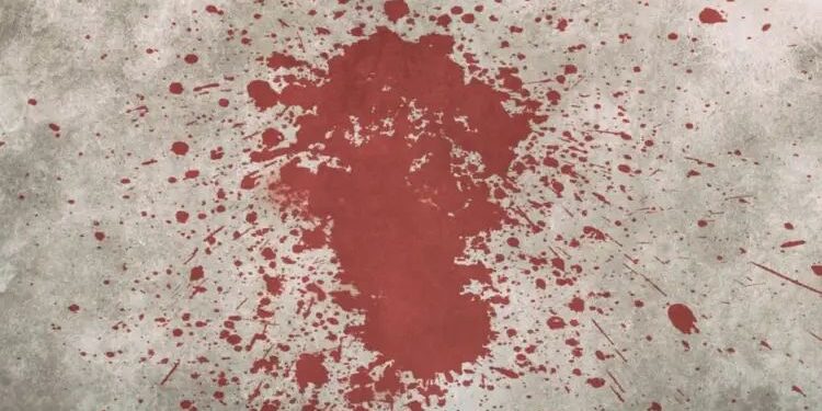 सांगलीतील कुख्यात गुंड सच्या टारझनचा डोक्यात कोयत्याने वार करून झाला खून; हल्ल्यानंतर तरुण थेट पोलिस ठाण्यात हजर