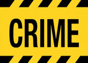 पाहुणे म्हणून आले, अन् अल्पवयीन मुलीला पळवून घेऊन गेले