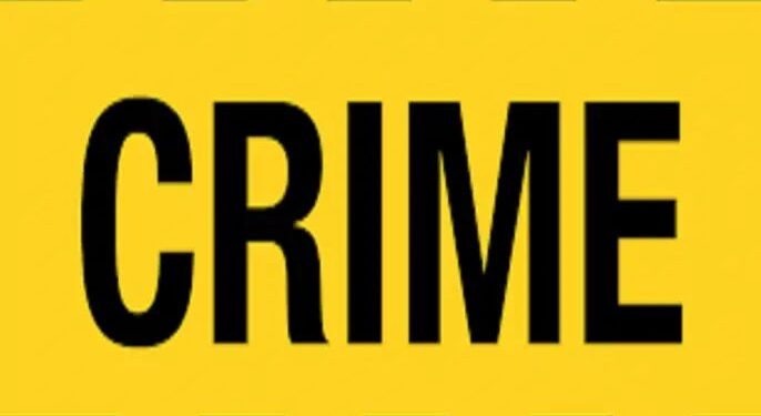 पाहुणे म्हणून आले, अन् अल्पवयीन मुलीला पळवून घेऊन गेले