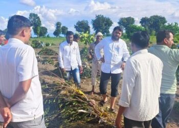 रविकांत तुपकरांनी काढली पालकमंत्र्यांची खरडपट्टी!
