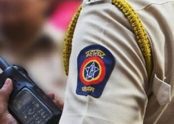 कमरेला पिस्तूल, गुंडासोबत पोलिस उपनिरीक्षकाचा डान्स : आ.राणे म्हणाले, बदनामी…..!