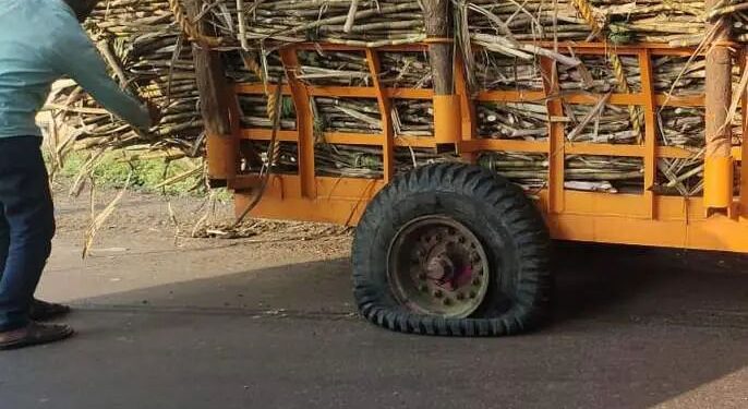 Sangli: स्वाभिमानी शेतकरी संघटनेने अडवली ऊस वाहतूक, ठिकठिकाणी आंदोलन