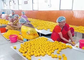 कार्तिकी यात्रेसाठी प्रसादाचे १० लाख लाडू