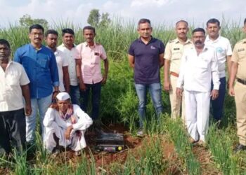 जत तालुक्यात दोन्ही भावांनी करामत केली : उमदी पोलिसांच्या कारवाईने तालुक्यात खळबळ..! वाचा सविस्तर