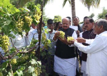 अवकाळीने द्राक्षाचे नुकसान झाल्याने तरुण शेतकऱ्याची आत्महत्या, पालकमंत्री सुरेश खाडेंनी कुटुंबाचे केले सांत्वन