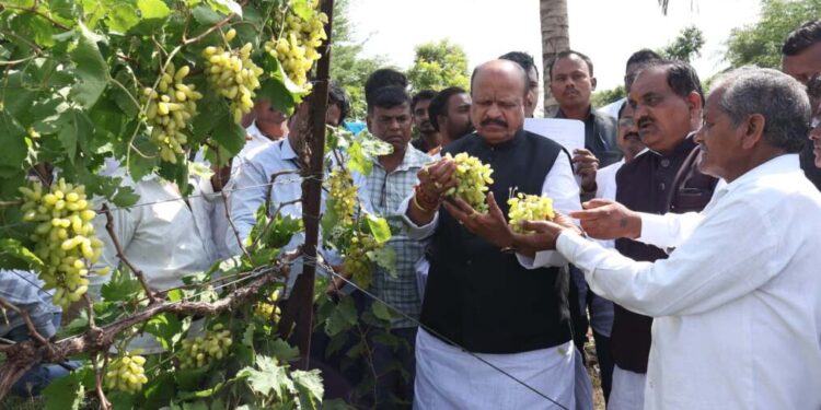 अवकाळीने द्राक्षाचे नुकसान झाल्याने तरुण शेतकऱ्याची आत्महत्या, पालकमंत्री सुरेश खाडेंनी कुटुंबाचे केले सांत्वन