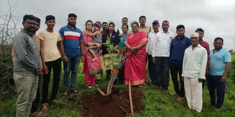 मिरजेत खाडे स्कूलचे संचालक स्व.दत्ता (अण्णा) खाडे यांच्या जयंतीनिमित्त वृक्षारोपण