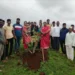मिरजेत खाडे स्कूलचे संचालक स्व.दत्ता (अण्णा) खाडे यांच्या जयंतीनिमित्त वृक्षारोपण