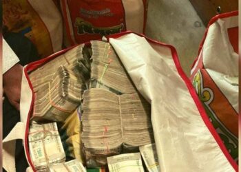 Maharashtra Election : अबब! राज्यात पैशांचा महापूर, आचारसंहितामध्ये आतापर्यंत ५३६ कोटींची मालमत्ता जप्त!