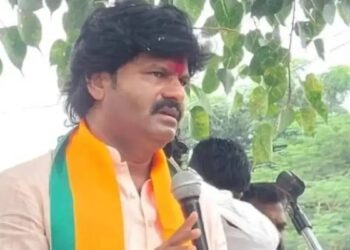 गोपिचंद पडळकरांचे मंत्रिपदाचे स्वप्न भंगले, फडणवीसांचे विश्वासू म्हणून होती मोठी अपेक्षा