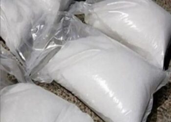 ब्रेकिंग | एमडी ड्रग्जसाठी वापरलेला कच्चा माल जप्त, तिघांच्या पोलिस कोठडीत वाढ