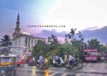 मिरजेत वादळी वाऱ्यासह पावसाने झाडे कोसळली, विद्युत पुरवठा ठप्प; नागरिकांची तारांबळ