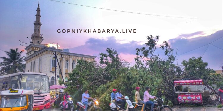 मिरजेत वादळी वाऱ्यासह पावसाने झाडे कोसळली, विद्युत पुरवठा ठप्प; नागरिकांची तारांबळ