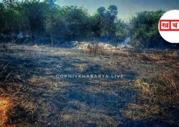 सांगली ब्रेकिंग | तब्बल दीड किलोमीटर परिसरात आग, पाच तास आगीचा तांडव, पाणी पुरवठ्याच्या पाईप आणि केबल जळून खाक